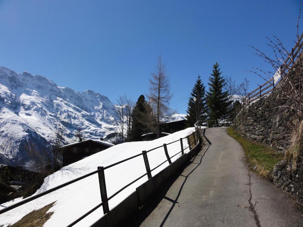 Chalet Schönbühl Mürren Exterior foto