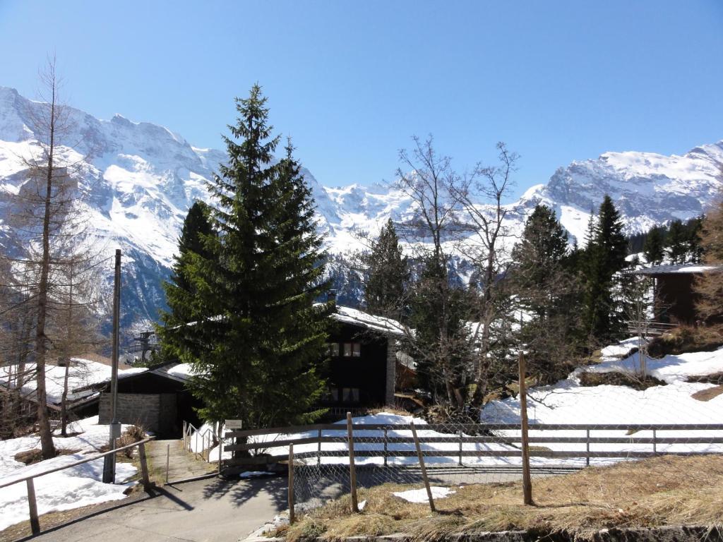Chalet Schönbühl Mürren Exterior foto