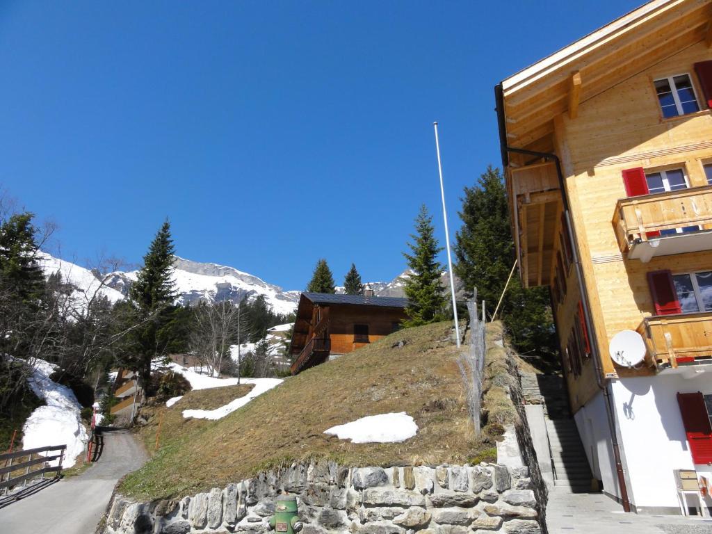 Chalet Schönbühl Mürren Exterior foto