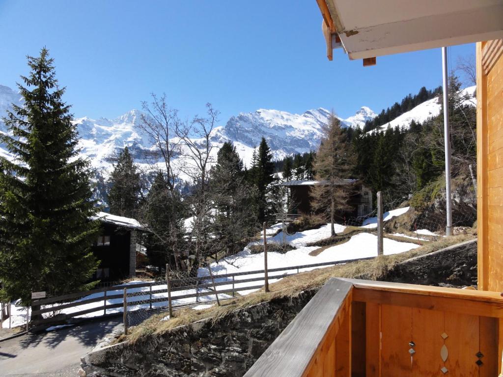 Chalet Schönbühl Mürren Exterior foto