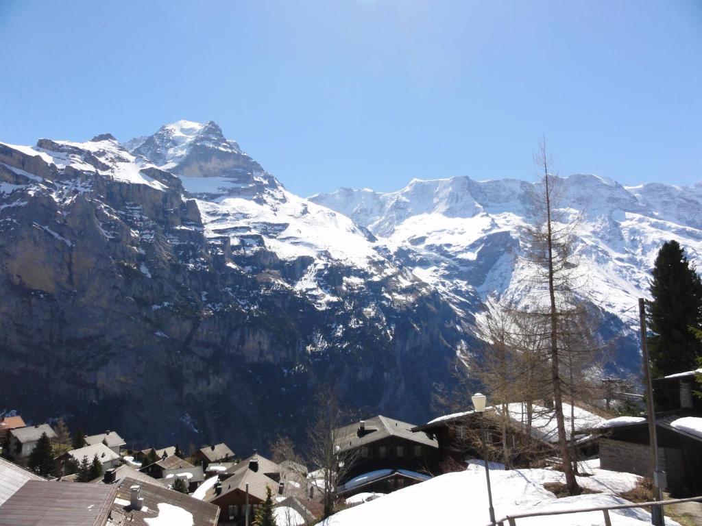 Chalet Schönbühl Mürren Exterior foto