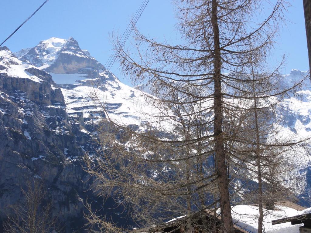 Chalet Schönbühl Mürren Exterior foto